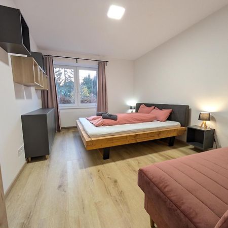 Apartman Stelvio Janské Lázně Kültér fotó